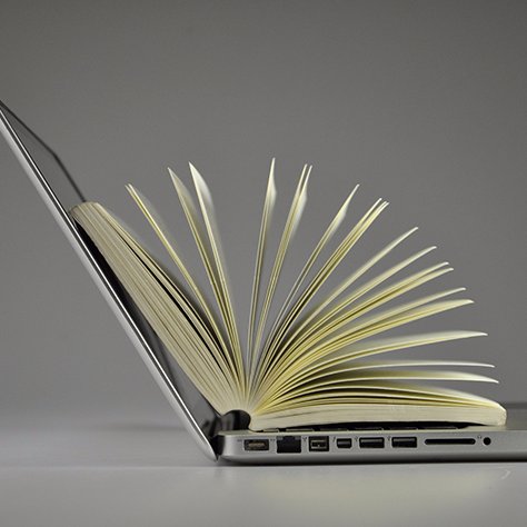 datacollector0's profile picture. 