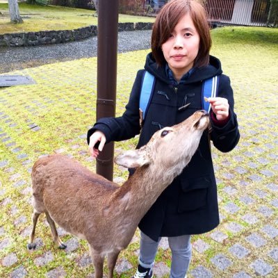 NekoNeko0125's profile picture. Hi