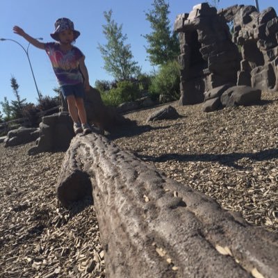 PTKDDao's profile picture. 