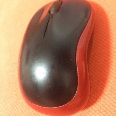 LostInSH's profile picture. 