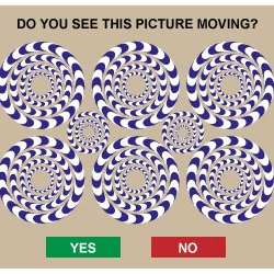 Abirrom1's profile picture. 