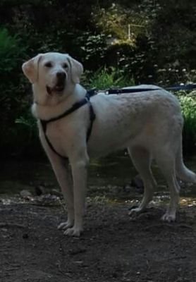 miguelr40158941's profile picture. 