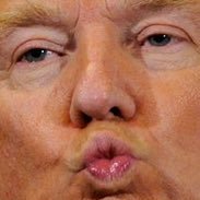 Just a true patriot with a hard on for freedom and Donald Trump.