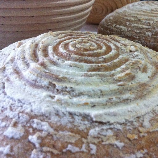 GreissPanCasero's profile picture. 