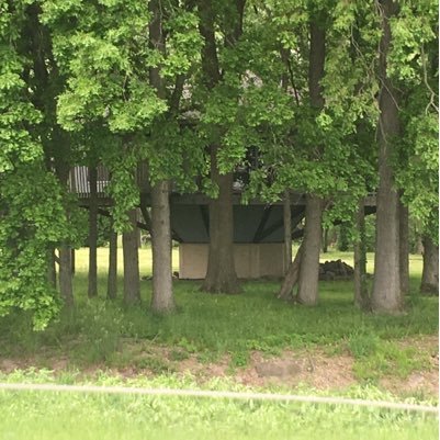 MrSelfMade317's profile picture. 