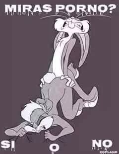 matthewsousa45's profile picture. 