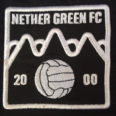 Nether Green U11's are a junior football club based in Sheffield. For further information please contact: RTSNGFC@hotmail.com