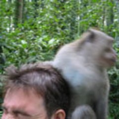 Shaboiga's profile picture. 