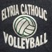 Elyria Catholic VB (@EC_Volleyball) Twitter profile photo
