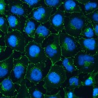ScienceXpression (@sciencexpress) 's Twitter Profile