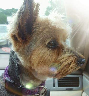 BMoran4's profile picture. 