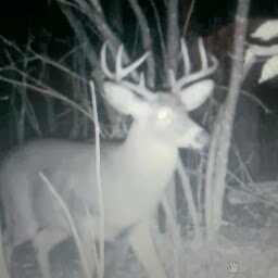 Baseball Coach …Liv n life ! Love my family ! Work...Hunt...Fish …Thank God everyday !