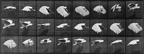 5feetheat's profile picture. I am an artist, designer, and fibers enthusiast. Also, a huge fan of lava lapms, boats, and earthen pots. One day I aspire to be a mermaid.