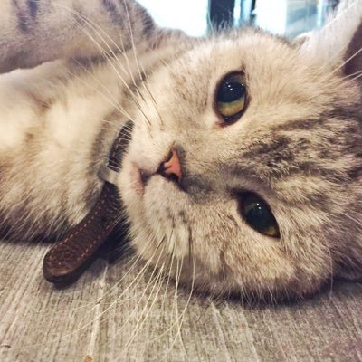 939364778's profile picture. 