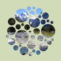 NZ EcologicalSociety (@nzecology) 's Twitter Profile