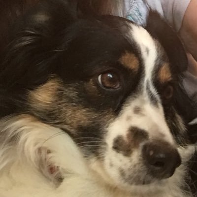 marlene42557559's profile picture. 