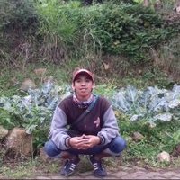 AmAu XXI (@radent72) 's Twitter Profile