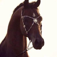 '﴿ (@amoonh044) Twitter profile photo