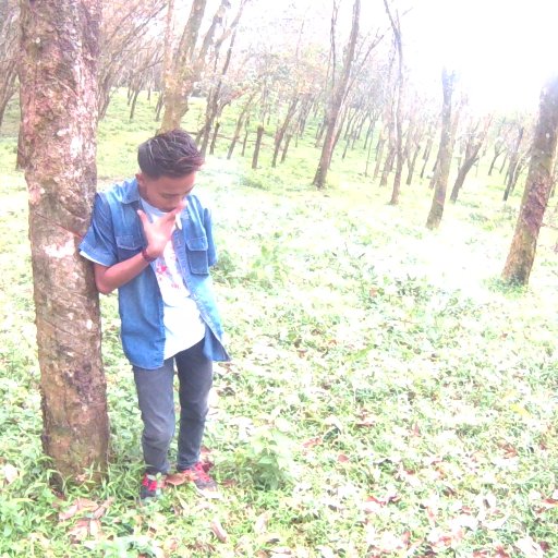 Fery_Andriian05's profile picture. 