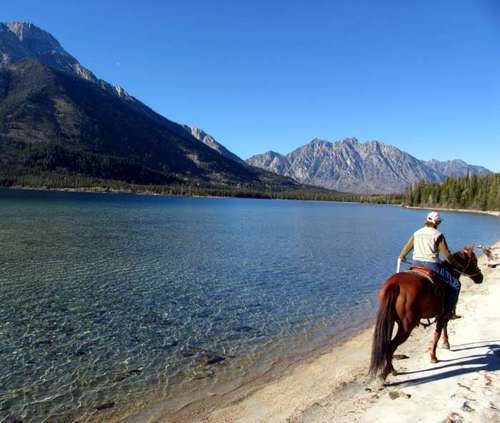 24-year Jackson Wyoming real estate broker and Certified Residential Specialist. I enjoy sharing my love of the area and knowledge of the market (307)690-6906
