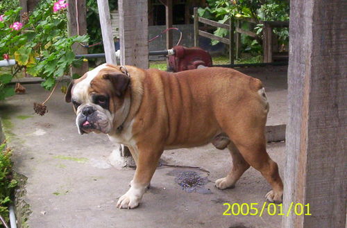 Laly Avalita Twitter twitter