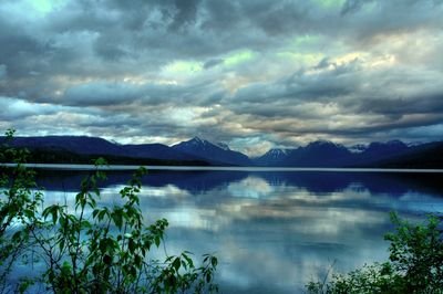 a_girl_who__'s profile picture. I can’t keep straight who likes closed-captioning and who doesn’t.