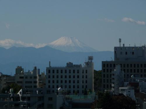 mutaka1999's profile picture. 