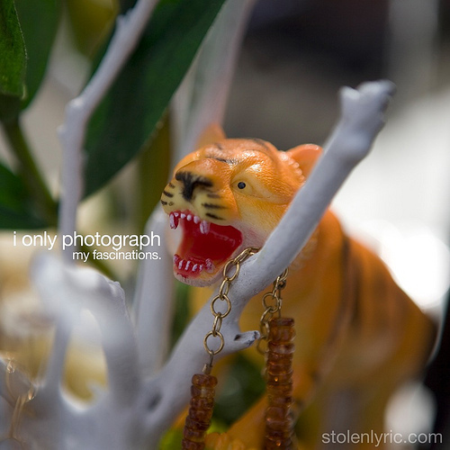 28deep's profile picture. picture-taker