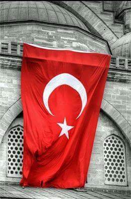 a_kemerli Profile Picture