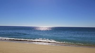 Porksecco's profile picture. 