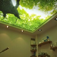 StretchCeilingManufacory (@stretchceilingm) 's Twitter Profile