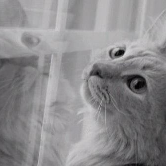 InsideTheCafe's profile picture. But I swear to God I'm gonna change the world