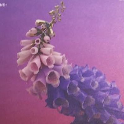 bi_miska's profile picture. You. are awesome. ;)