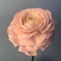 임지연(정자3동) (@marianna0218) 's Twitter Profile Photo 임지연(정자3동) (@marianna0218) 's Twitter Profile Photo