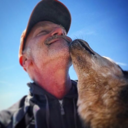 fidosopher's profile picture. writer, illustrator, fidosopher...author of some 125 books for kids and adults.