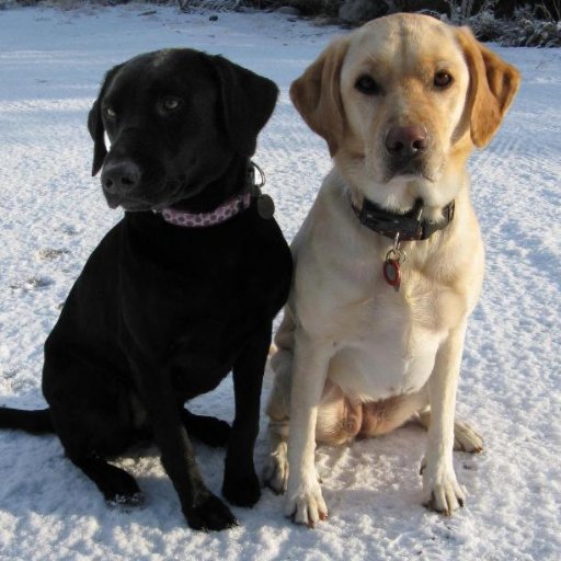 MissSBezi's profile picture. 2nd Grade Teacher