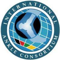 Int Ankle Consortium(@AnkleConsortium) 's Twitter Profile Photo