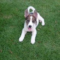 milk (@milkhgm) 's Twitter Profile