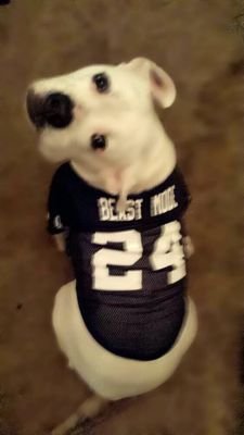 Will_c_75's profile picture. Gamer, parent, relocation specialist, and sports enthusiast