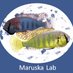 Maruska Lab (@maruskalab) Twitter profile photo Maruska Lab (@maruskalab) Twitter profile photo