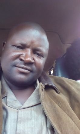 44171920s's profile picture. Music