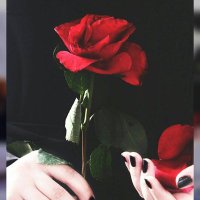 Thank you Allah (@love__yemen) Twitter profile photo