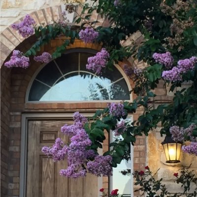 cgwhic's profile picture. Mother, wife, daughter, science teacher, life-long learner, Kansan at heart living in Texas, K-Stater, Boy Scouter, WB96, Former 4-Her, ...