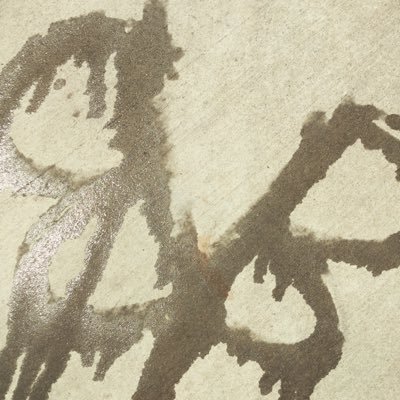 thephloper's profile picture. 