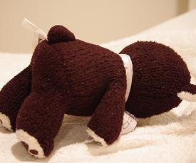 pet_natural's profile picture. 人も動物も「幸せ体験」するため地球に生まれてきたんだと思ってる。ペットの健康セミナーを企画し続け辿り着いたのが結局飼主の幸福度を上げることがペット達の望みなんだなと。十二国記、羅小黒戦記、モブサイコ100のRT多。ペットセミナーの情報も時々流します。