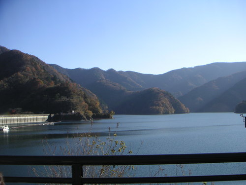 nstrawberry's profile picture. 