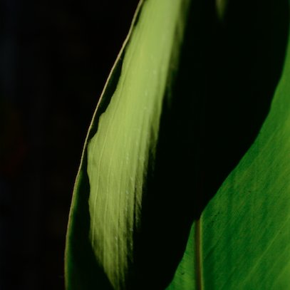 emma_zeig's profile picture. 