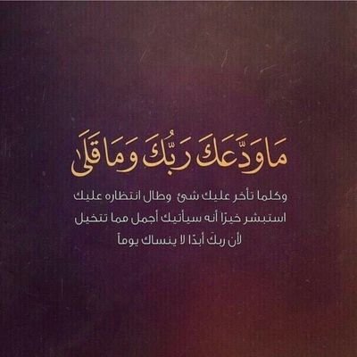 ‏‏‏‏‏‏‏‏‏‏(الخطابه ام سوزان للجادين والجادات فقط. )
(2500ريال من الخاطب عند استلام الرقم)
 (  2500ريال من  المخطوبه )
اتعابي 5000ريال