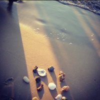 . (@dlala_alomri) 's Twitter Profile