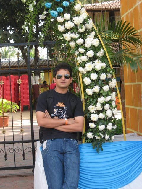 Database Developer